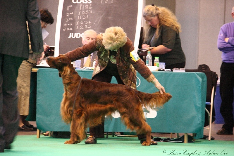 Crufts2011 827.jpg